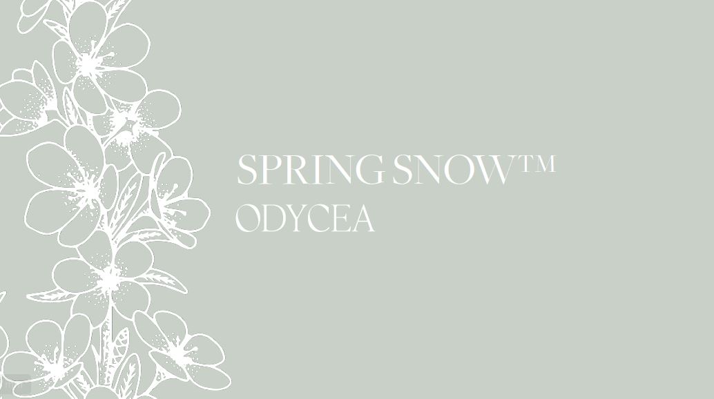 Spring Snow